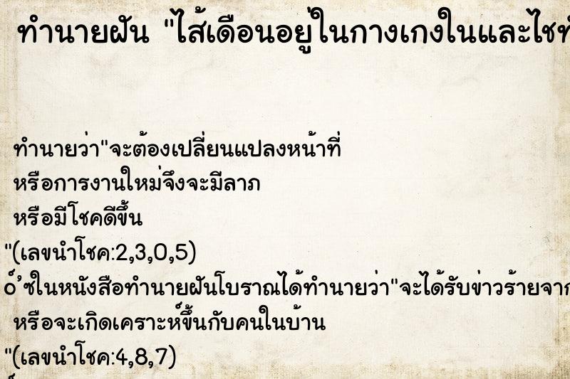 ทำนายฝันทำนายฝันไส้เดือนอยู่ในกางเกงในและไชทั่วร่างกาย